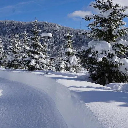 Aktiv By Peak Daire *